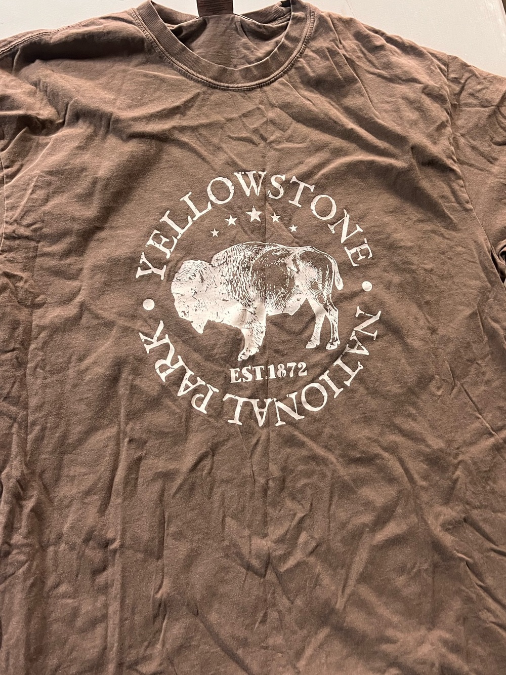 Yellowstone National Park Brown Graphic Tee